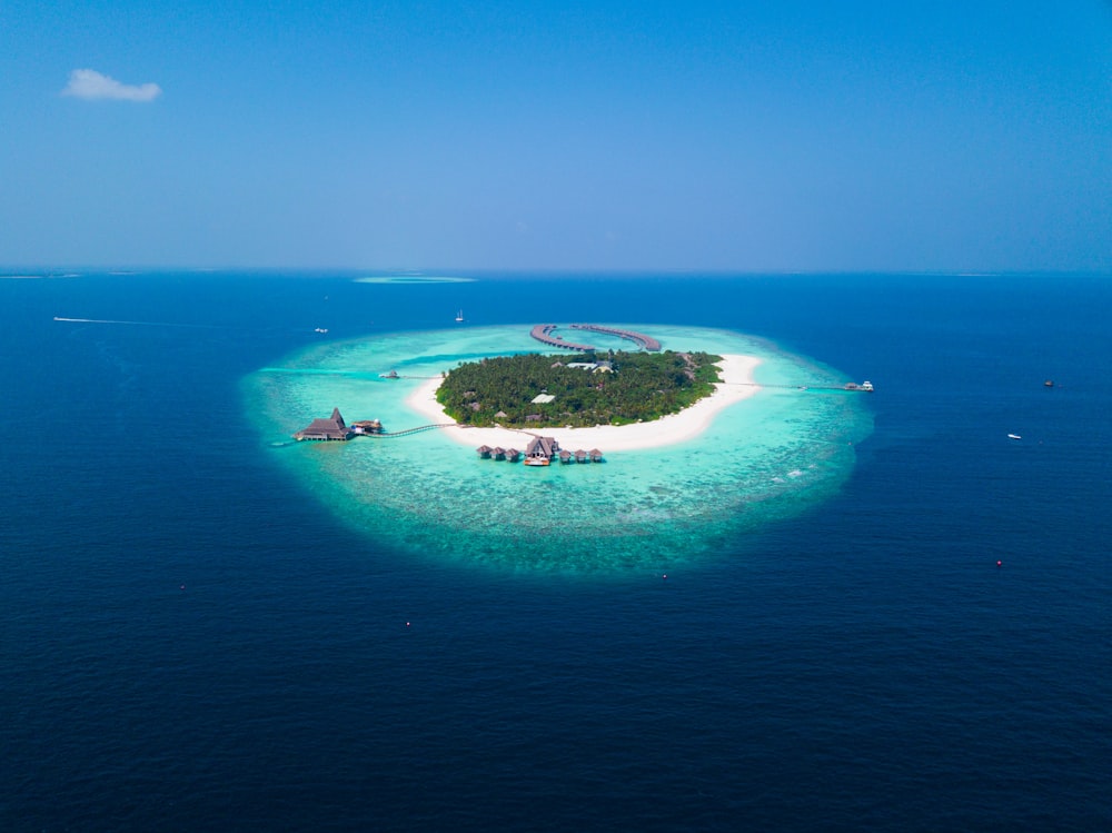 ilha cercada de água com árvores