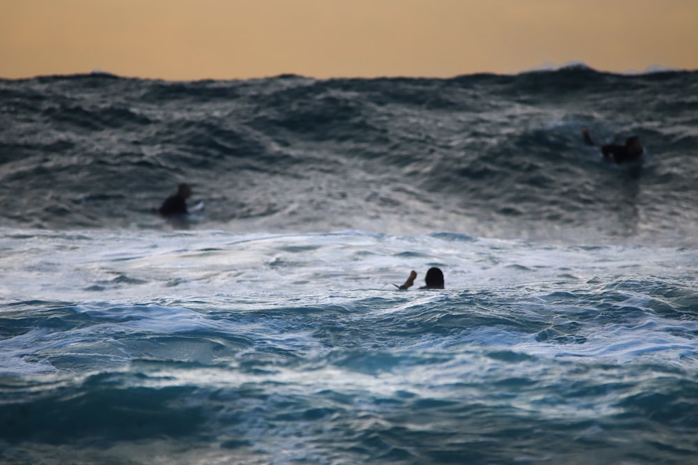 Dos personas en cuerpo de agua