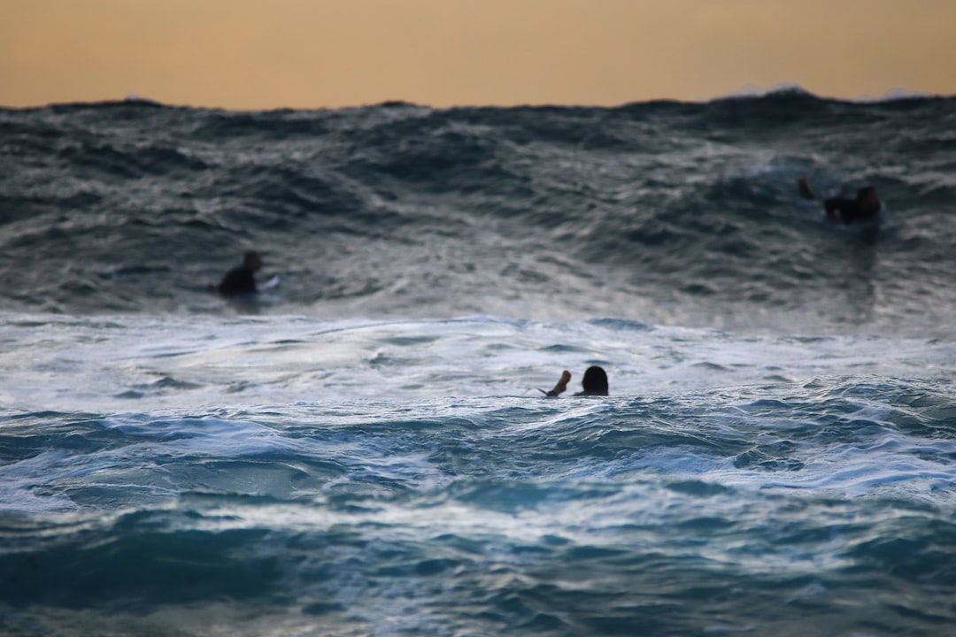 Surfing photo spot Bondi Beach Australia