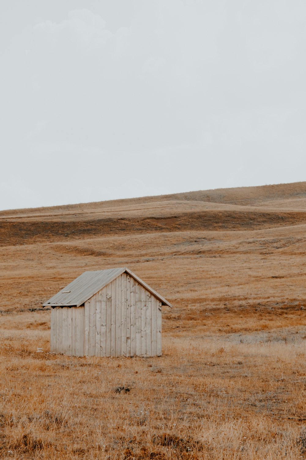 Cobertizo de madera beige en la parte superior del campo de hierba