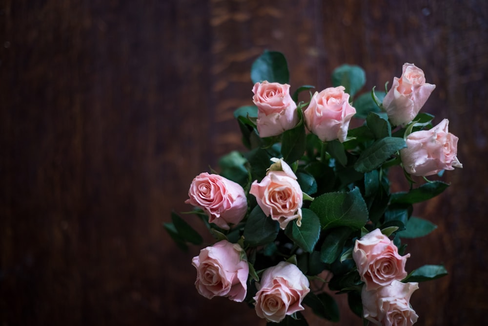 Photographie grand angle de bouquet de rose rose