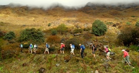A group of hikers is trekking up a grassy hillside with some shrubs and trees present in the landscape. The hikers, equipped with backpacks and wearing hiking attire, are walking in a line along a visible path. The background reveals a misty mountain with low-lying clouds obscuring part of it, adding a sense of mystery to the scenery.