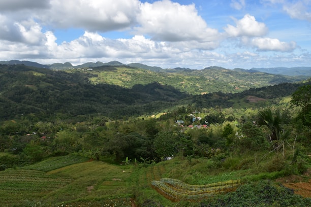 A peaceful landscape merging diverse communities on shared land.