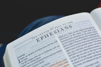 Ephesians textbook