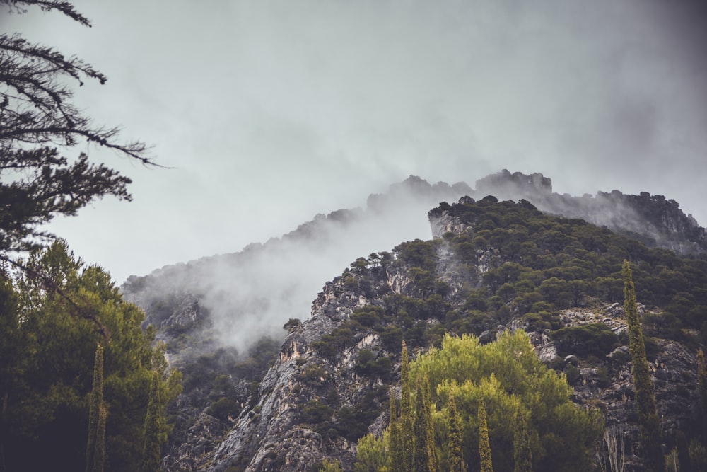 mountain in mist