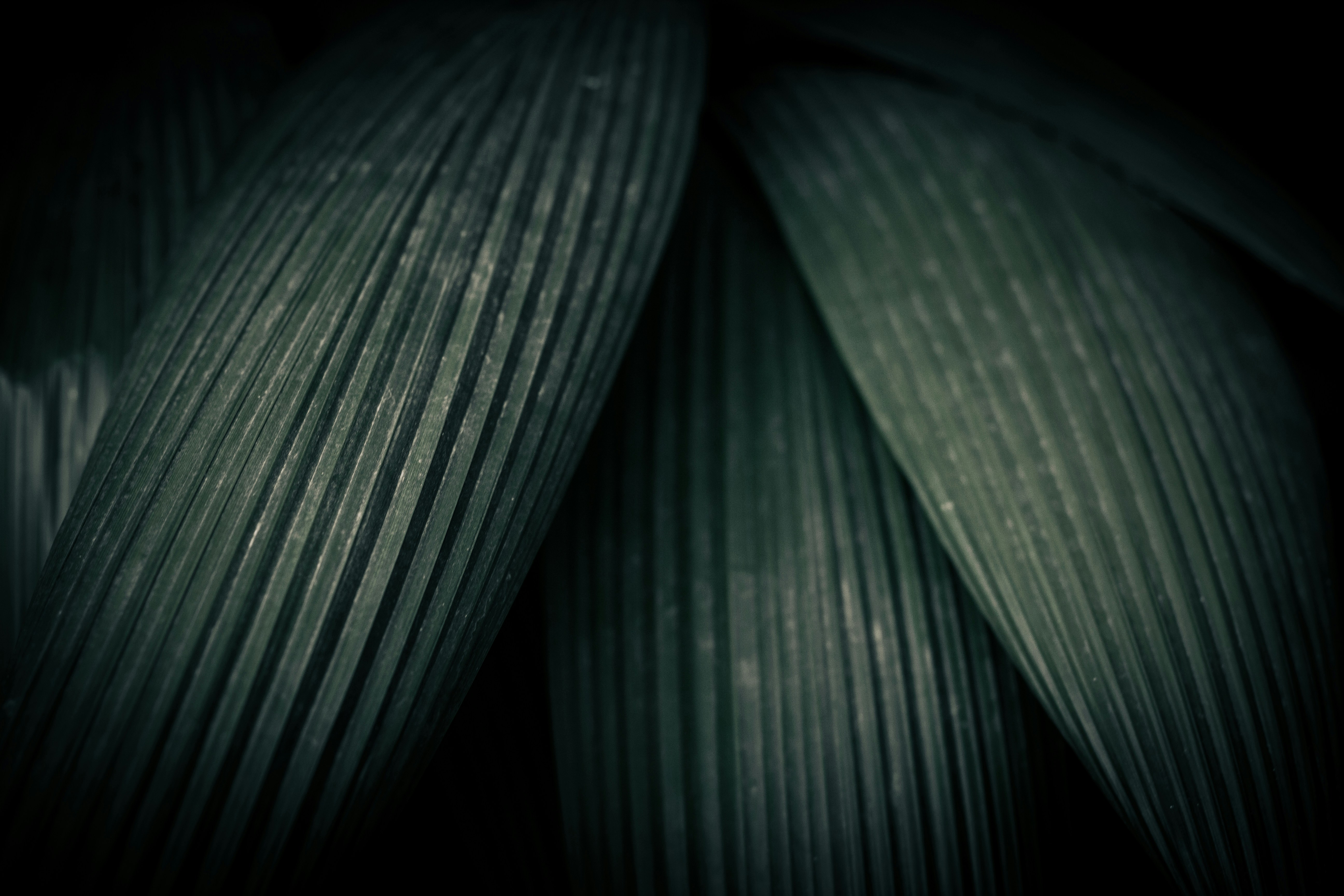 Photo by jacobmejicanos