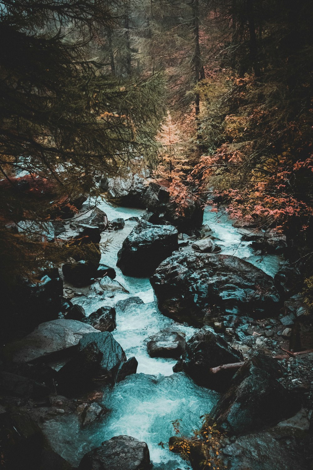 rochas cinzentas no rio entre árvores