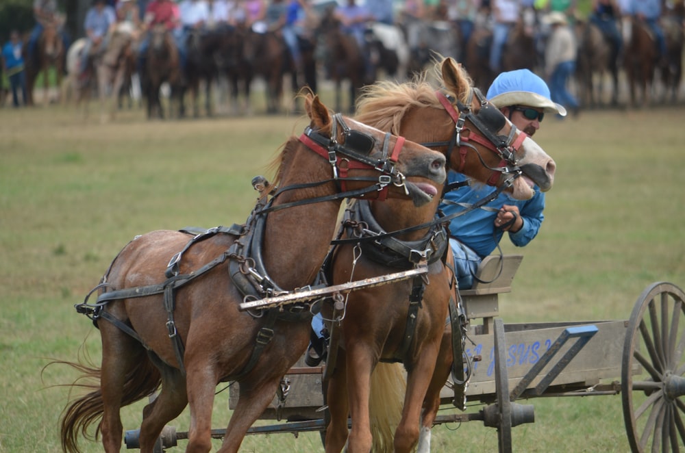 man riding two horses