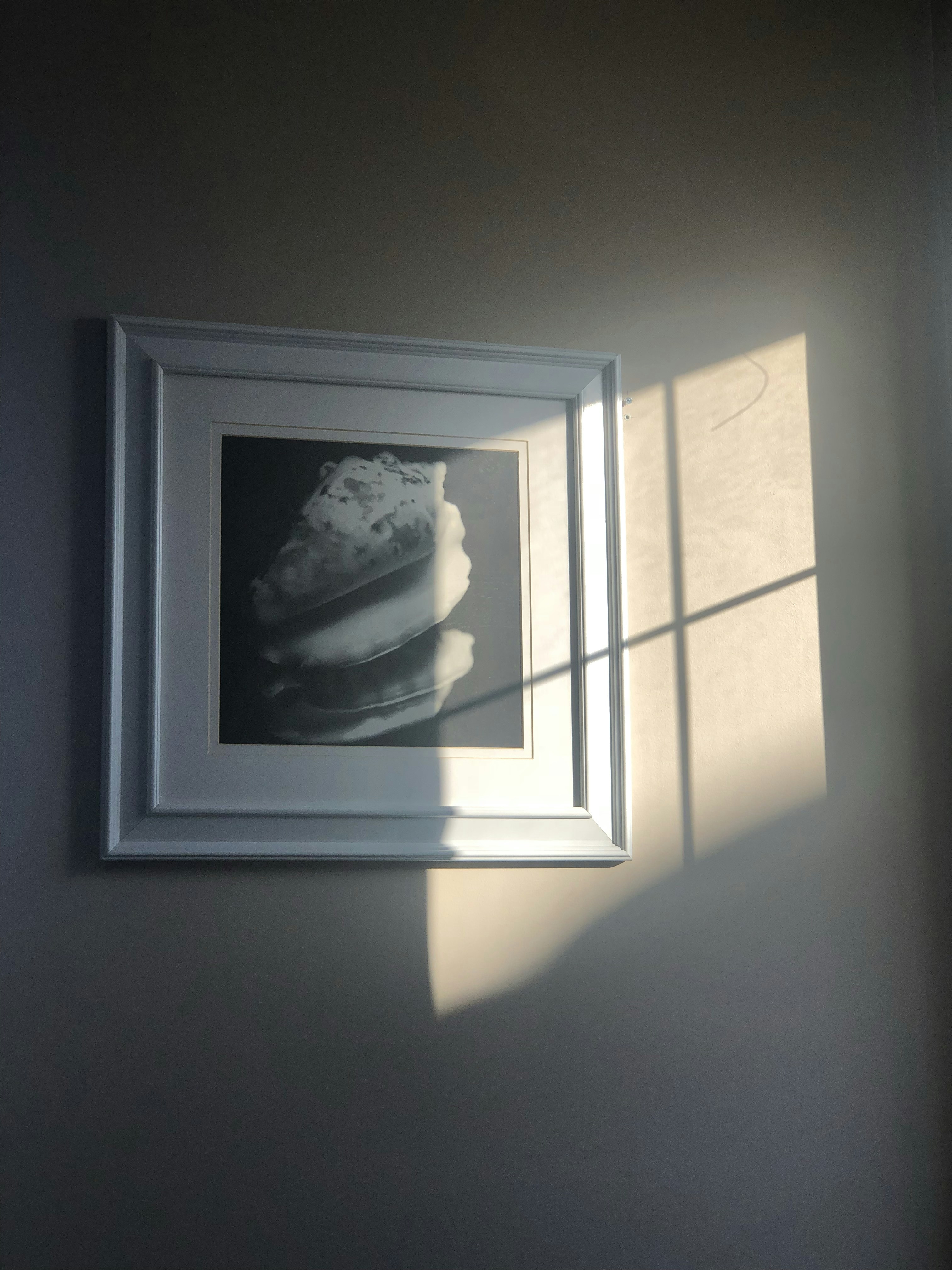 Limited Edition Art Prints