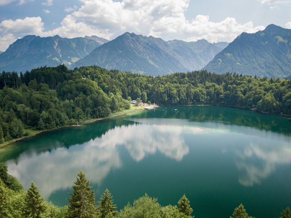 Bosque verde cerca del lago y la montaña bajo el cielo nublado