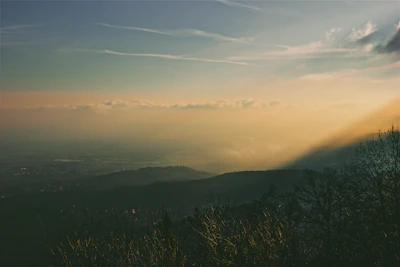 A cinematic view of the secret valley at dawn, with mist rising and dragons flying in the distance.