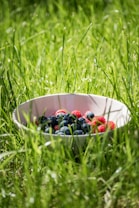 blueberry and raspberry on white bowl