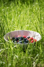 blueberry and raspberry on white bowl