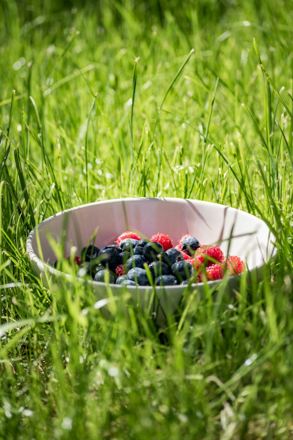 blueberry and raspberry on white bowl