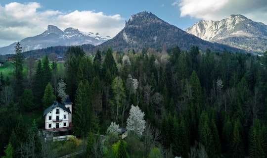 white bungalow between trees in Bad Aussee Austria