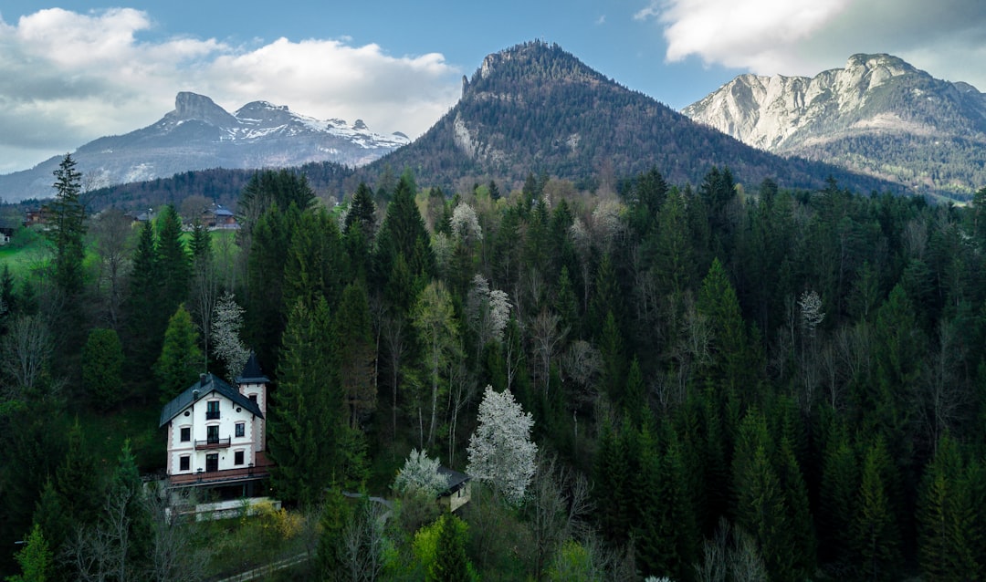 white bungalow between trees, Home sweet home…