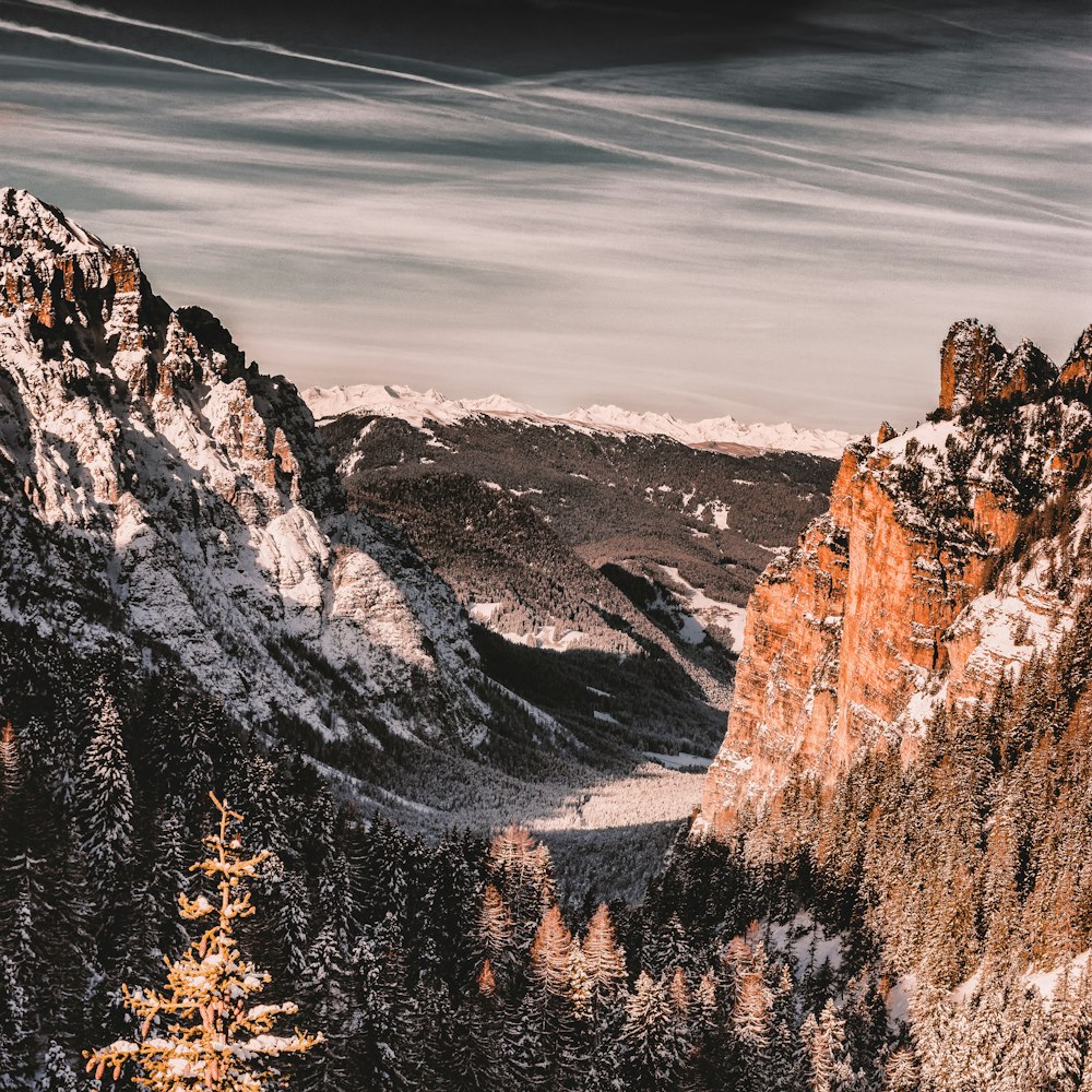 fotografia aerea di montagna e foresta