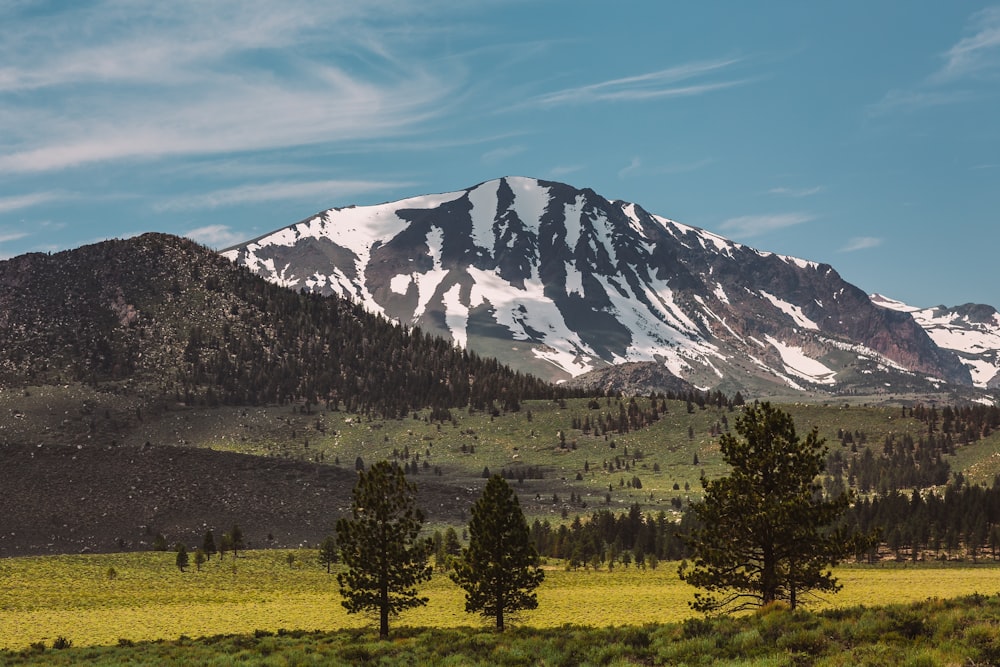 landscape photo of mountain alps