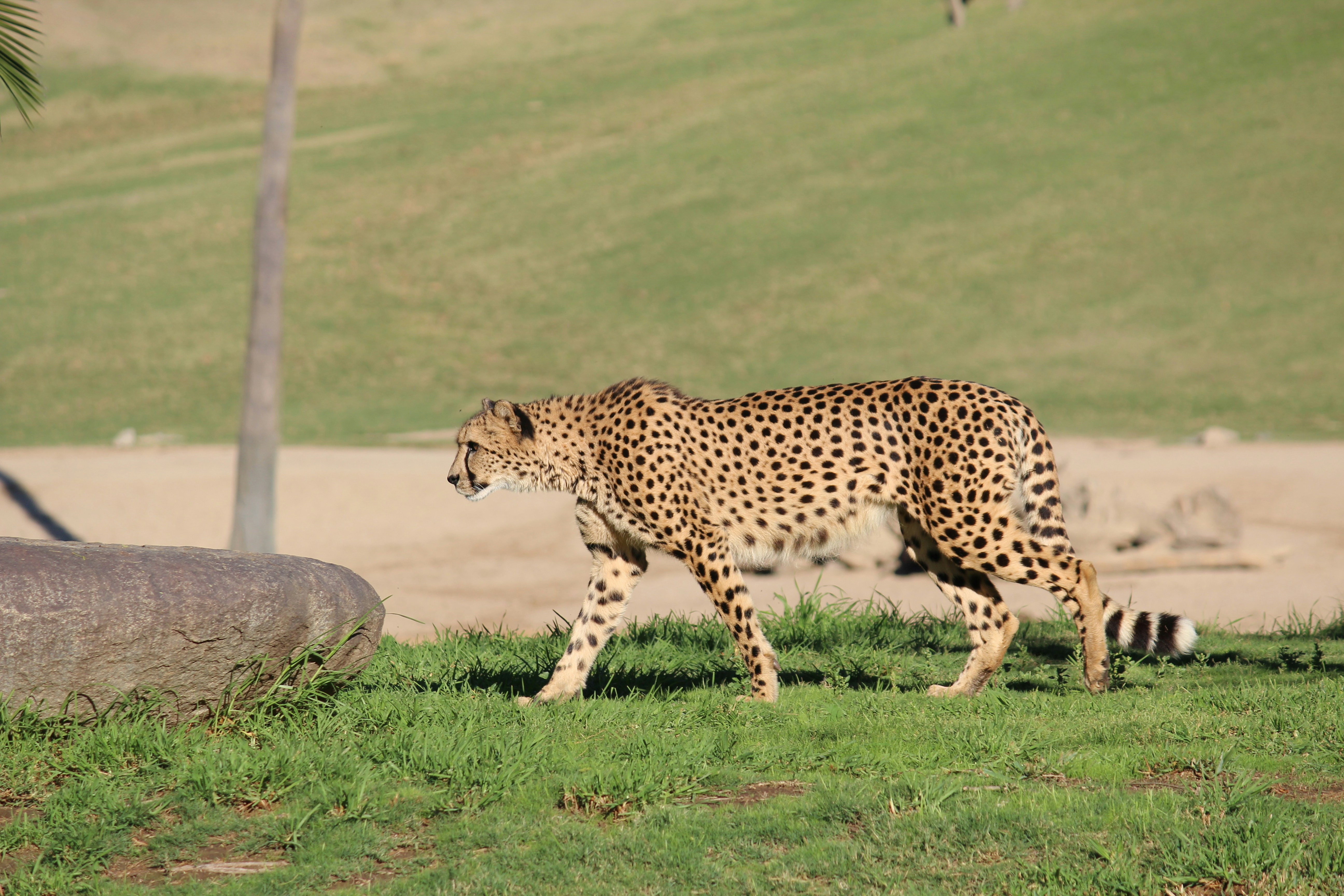 Changing Territories: Shrinking and Sharing (image credits: unsplash)