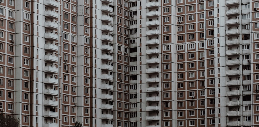 Immeuble de grande hauteur en béton brun et blanc