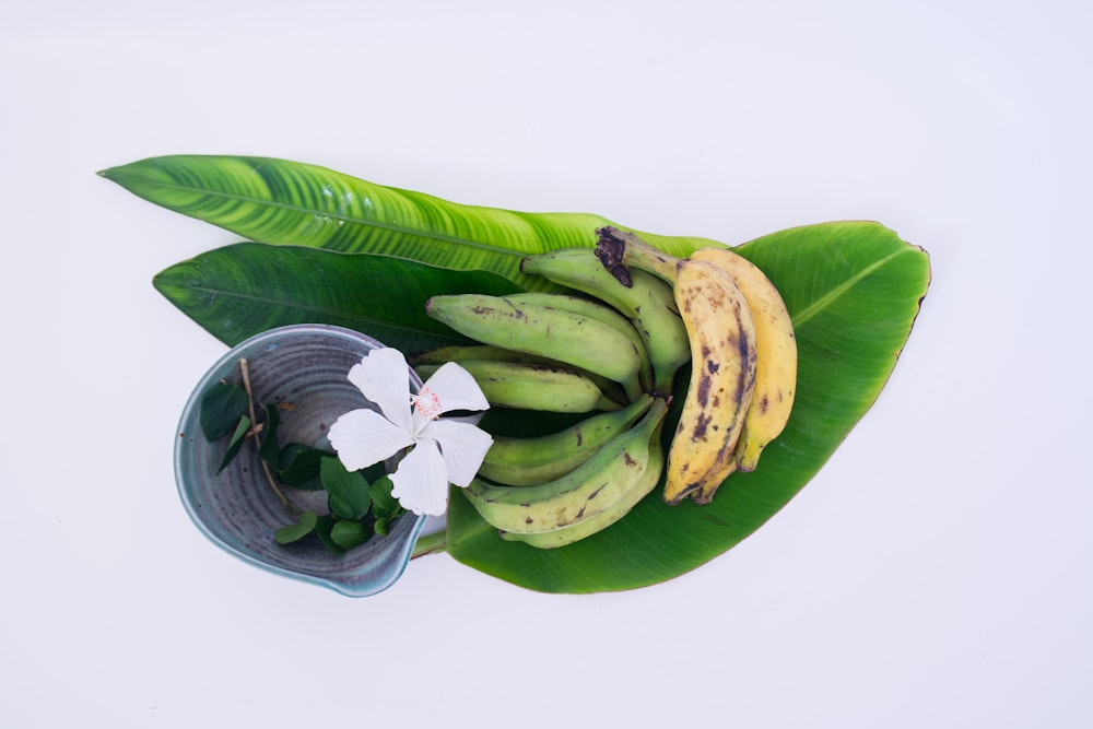 reife und unreife Bananen auf Bananenblatt