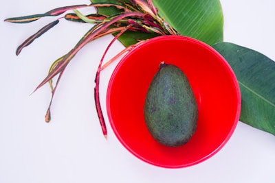 Basket filled with mixed avocado varieties including Fuerte and Pinkerton under natural sunlight