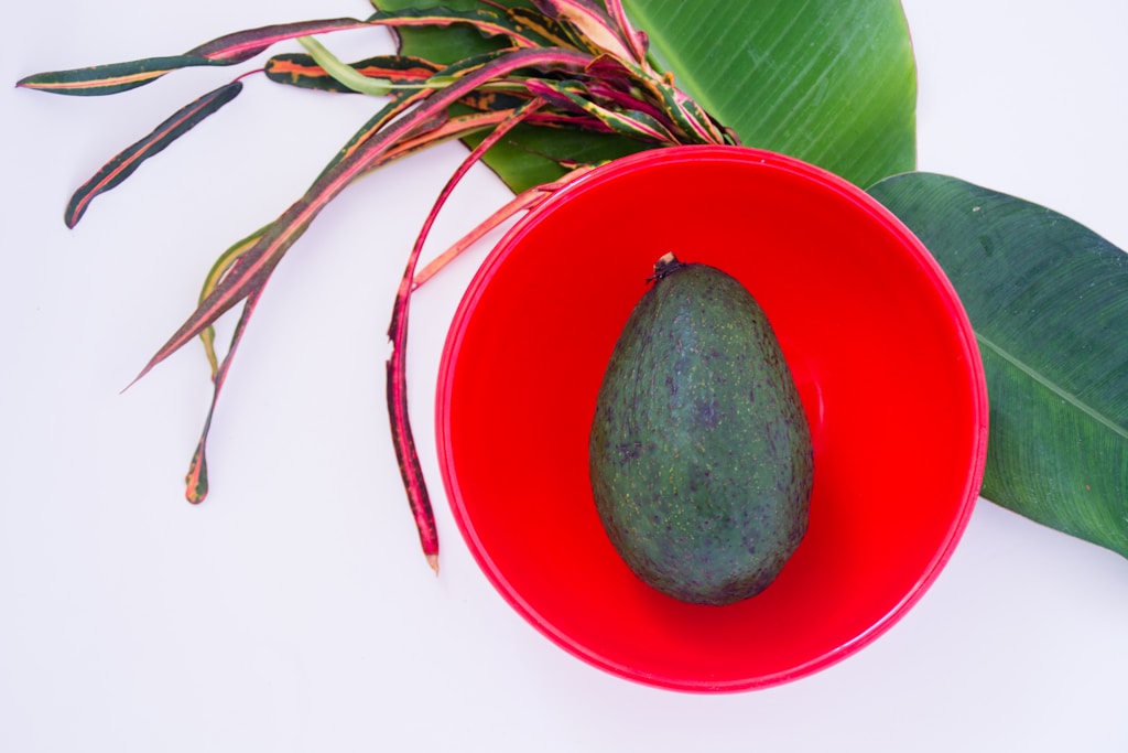 Fresh Avocados