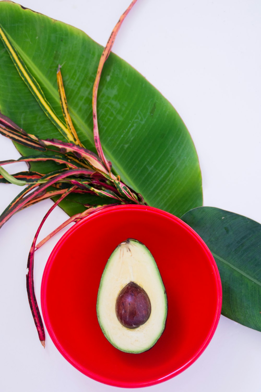 sliced avocado on red plastic bowl