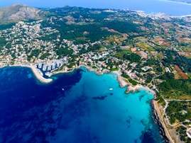 aerial view photography of island