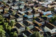 Property values in U.S. urban centers have plummeted