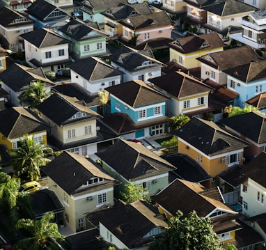 aerial photography of rural