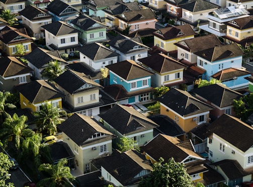 aerial photography of rural