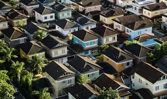 aerial photography of rural