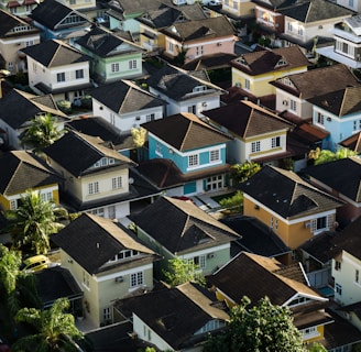 aerial photography of rural