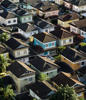 aerial photography of rural