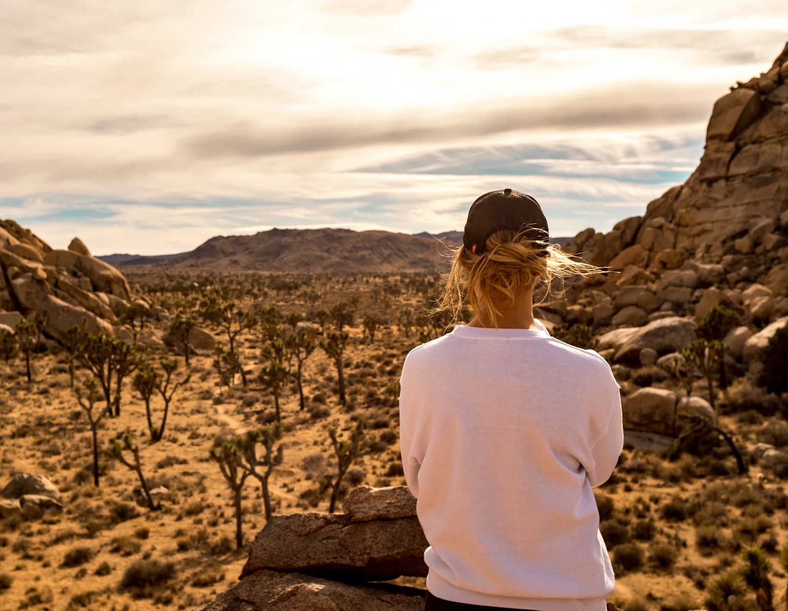 Hidden Valley area desert scenery with rocks in Joshua Tree National Park