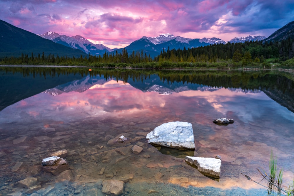 bodies of water near forest and mountain under cloudy sky at daytime