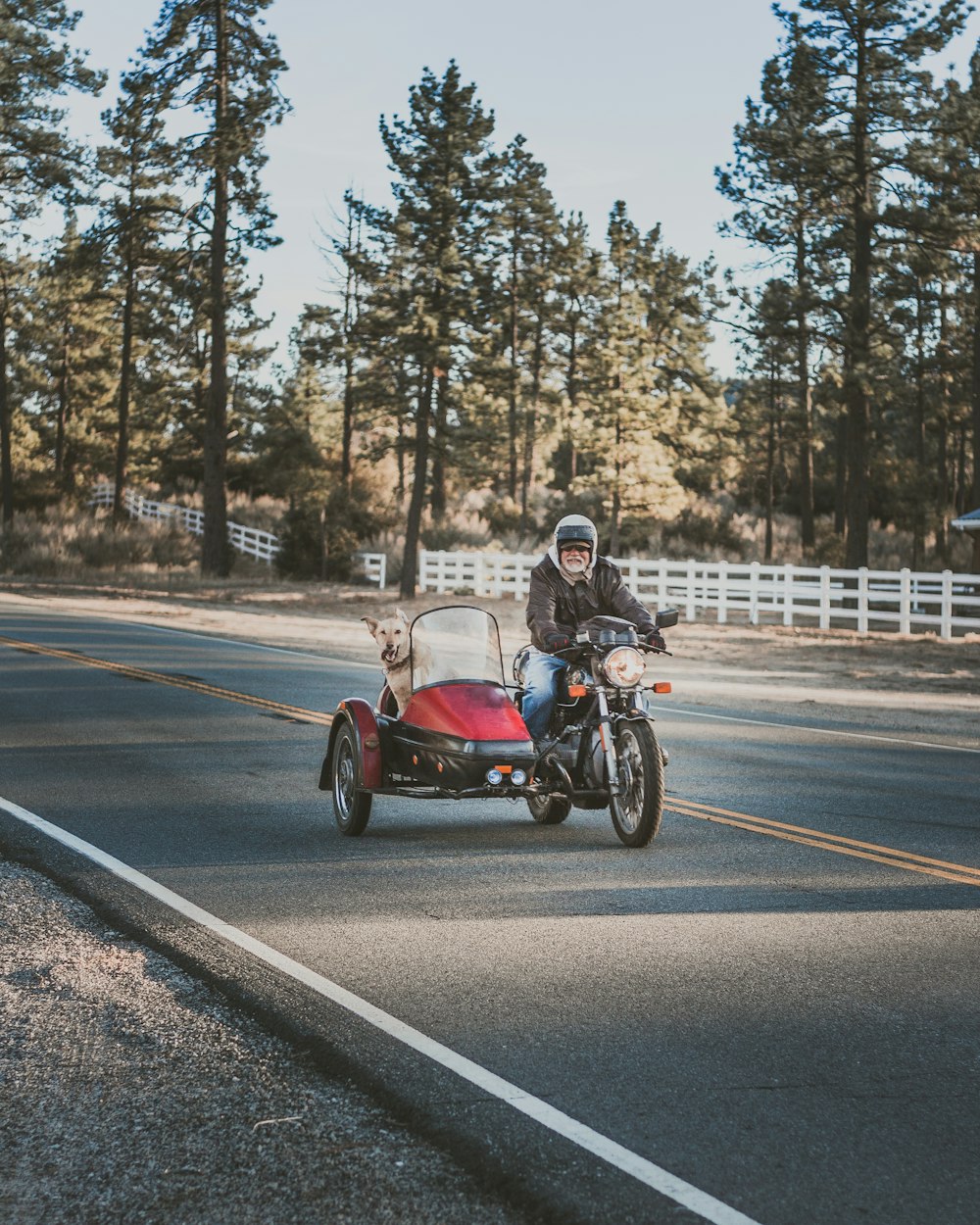 man riding motorcycle beside brown labrador dog