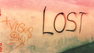 Camiseta Oversized Vibex