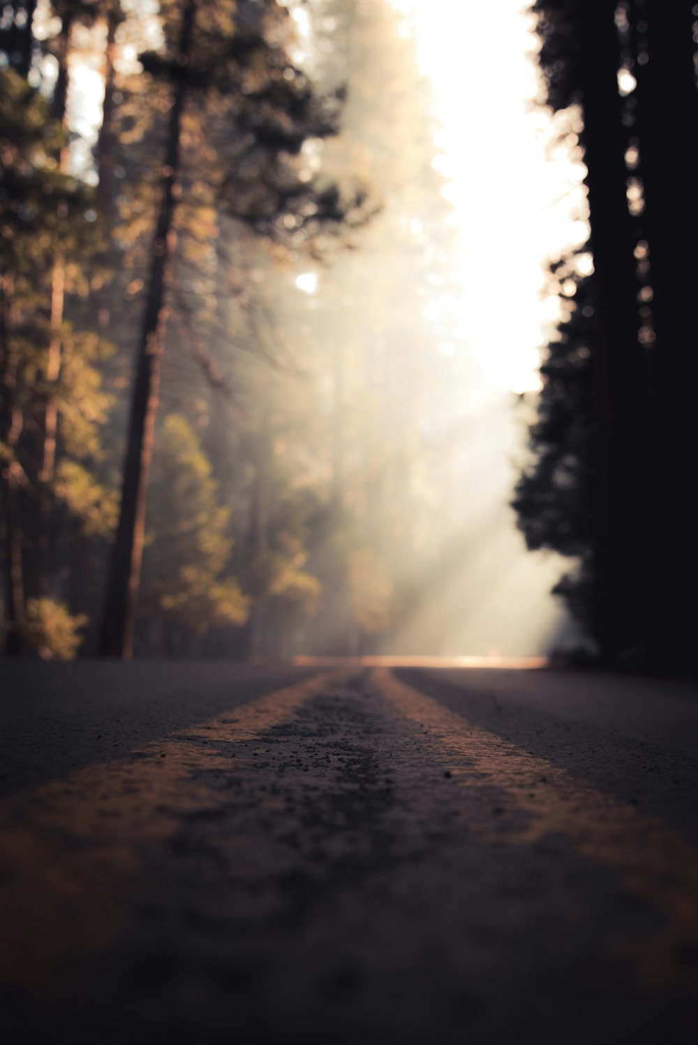 Flache Sicht auf die Straße im Nebel