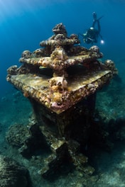 Divers carefully examining underwater archaeological site near Florianópolis coast.