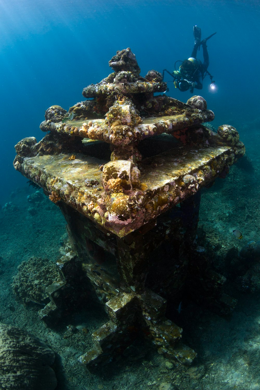 person diving underwater