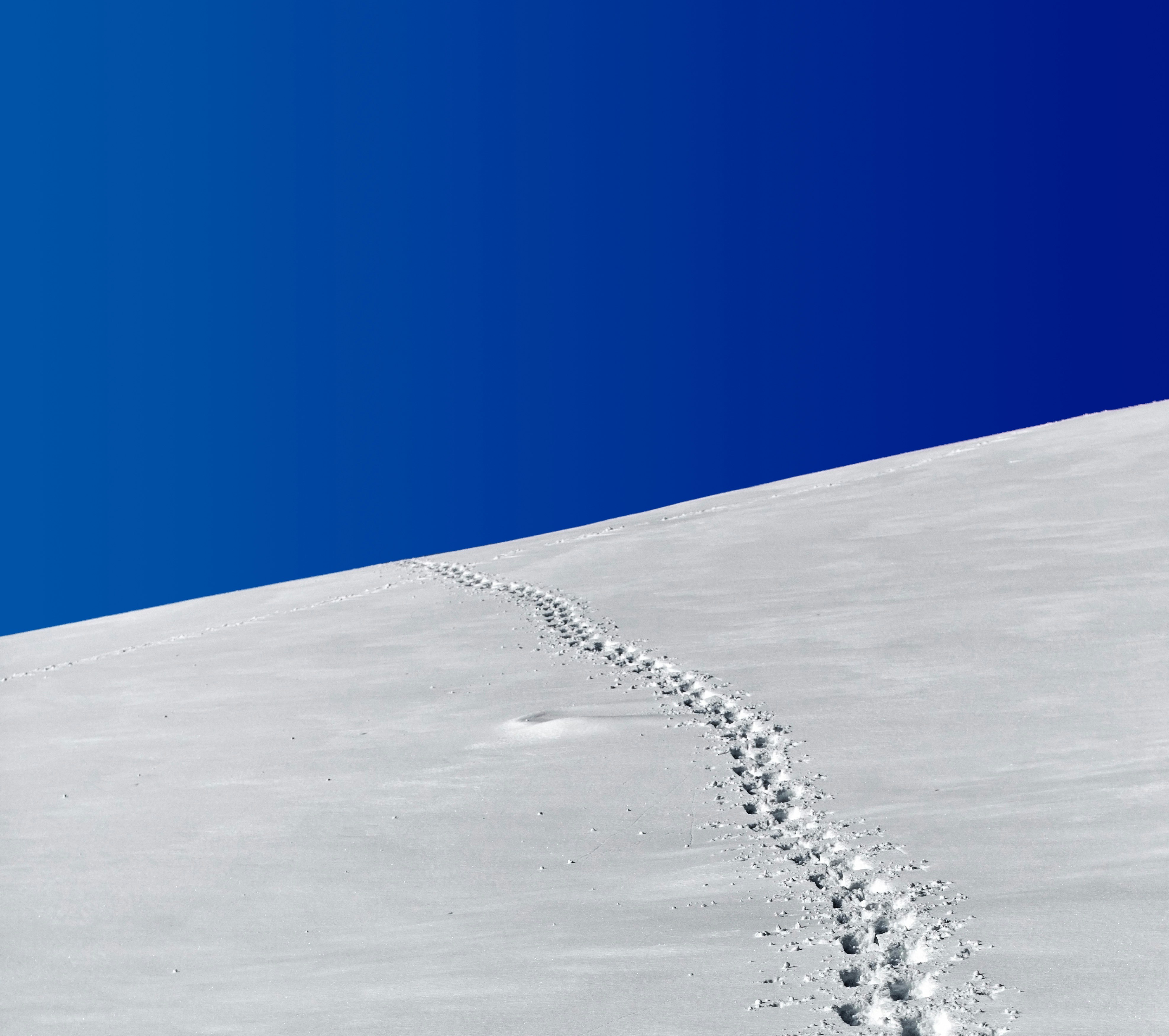footprints in snow field under blue sky