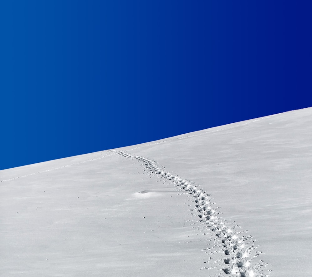 footprints in snow field under blue sky