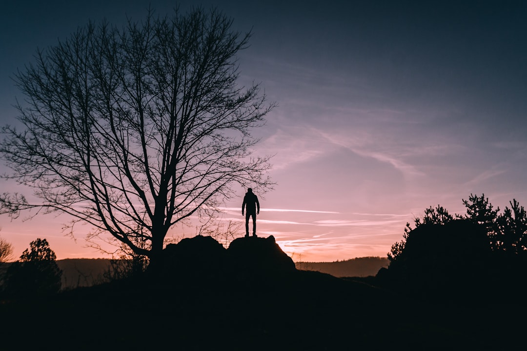 person standing on top of rock near bare tree during sunset