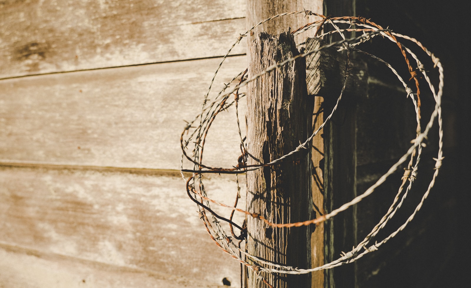 ZEISS Loxia 35mm F2 sample photo. Barbed wire on pole photography