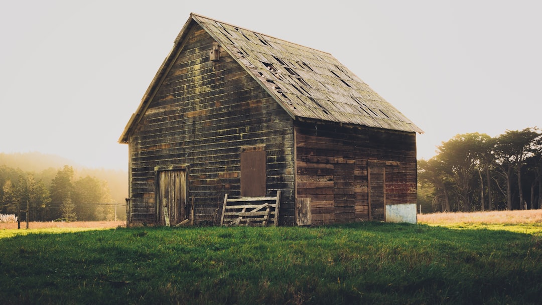  brown barn shed