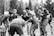 A group of rugby players is gathered closely on a muddy field during a game, as rain falls heavily around them. The players are wearing protective gear such as helmets and jerseys, and their expressions suggest focus and determination.