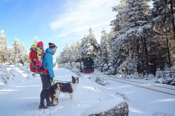 man and dog on snow terrain