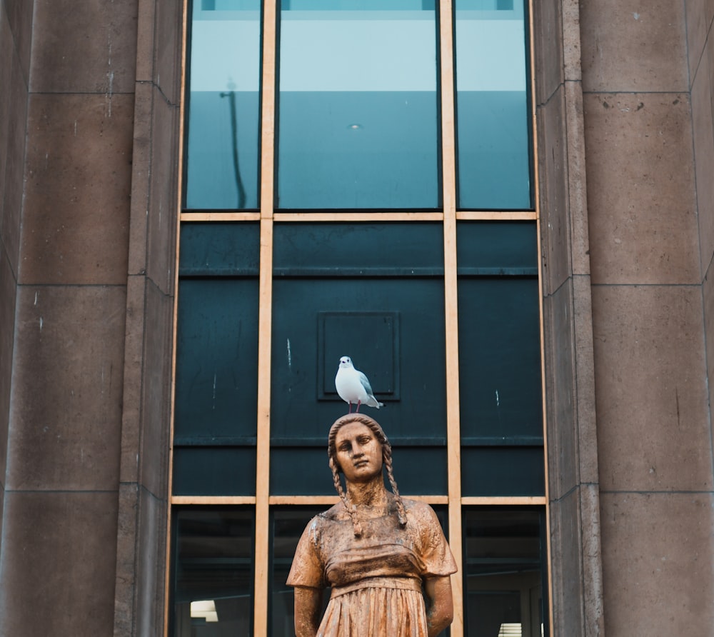 bird on top of statue near to building window